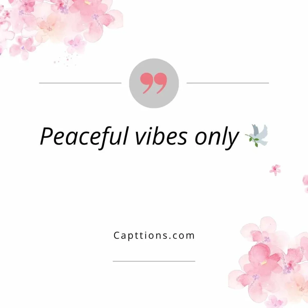 Captions for Udaipur Post