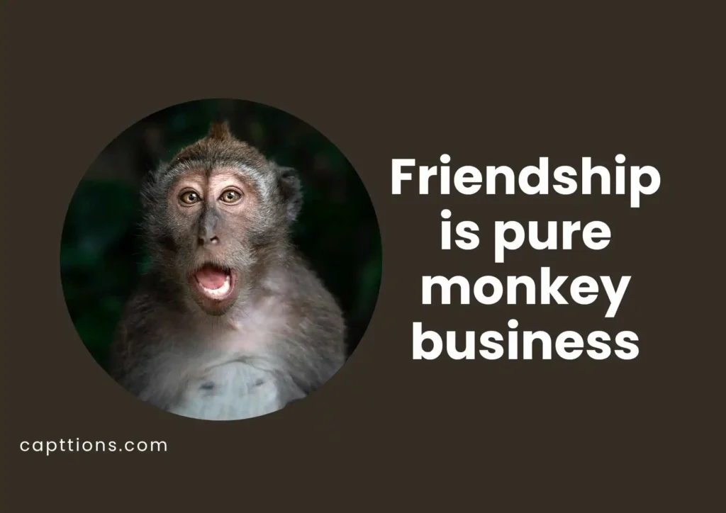 Funny Monkey Quotes for Friends