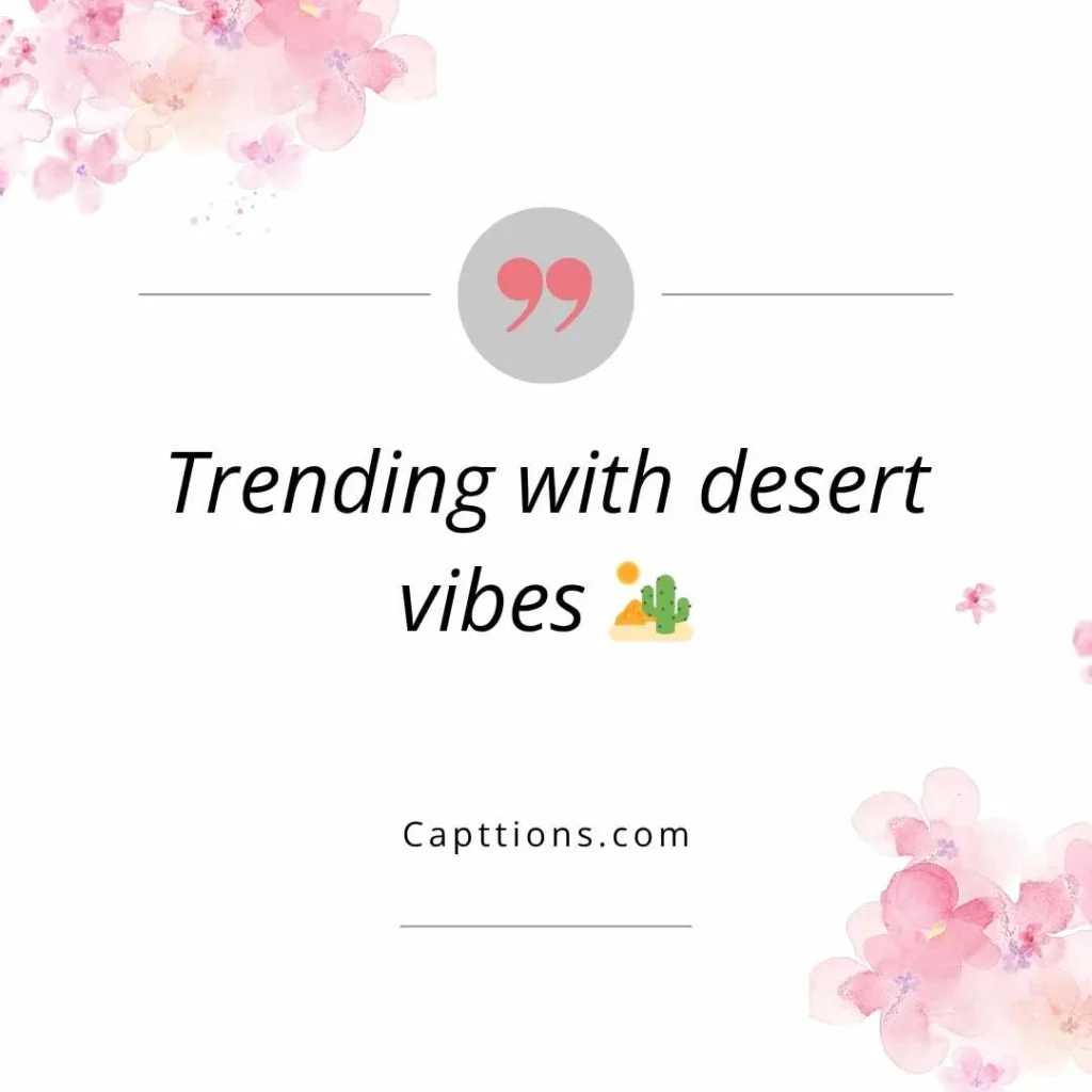  Rajasthani Caption Latest