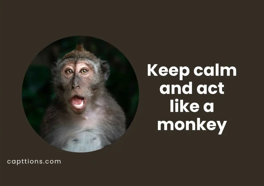 Short Funny Monkey Captions for Instagram