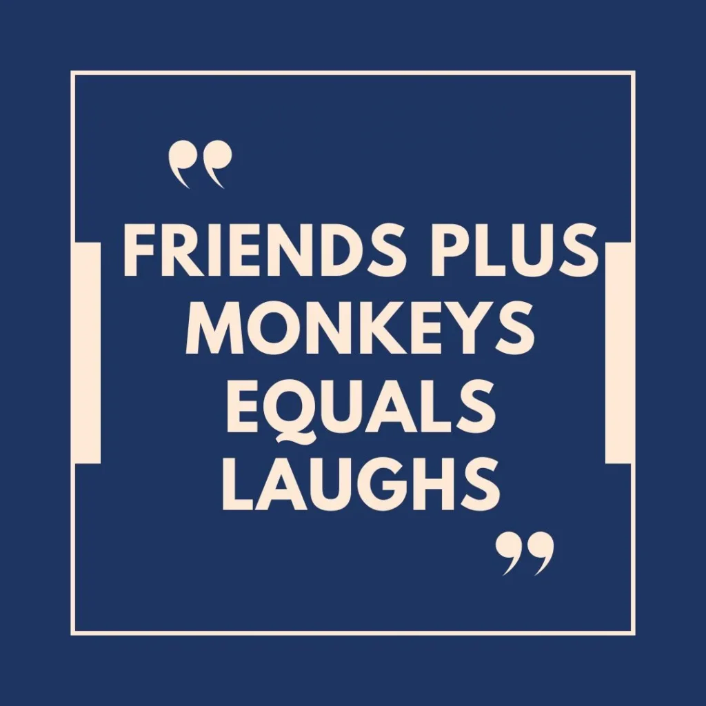 Funny Monkey Captions with Friends