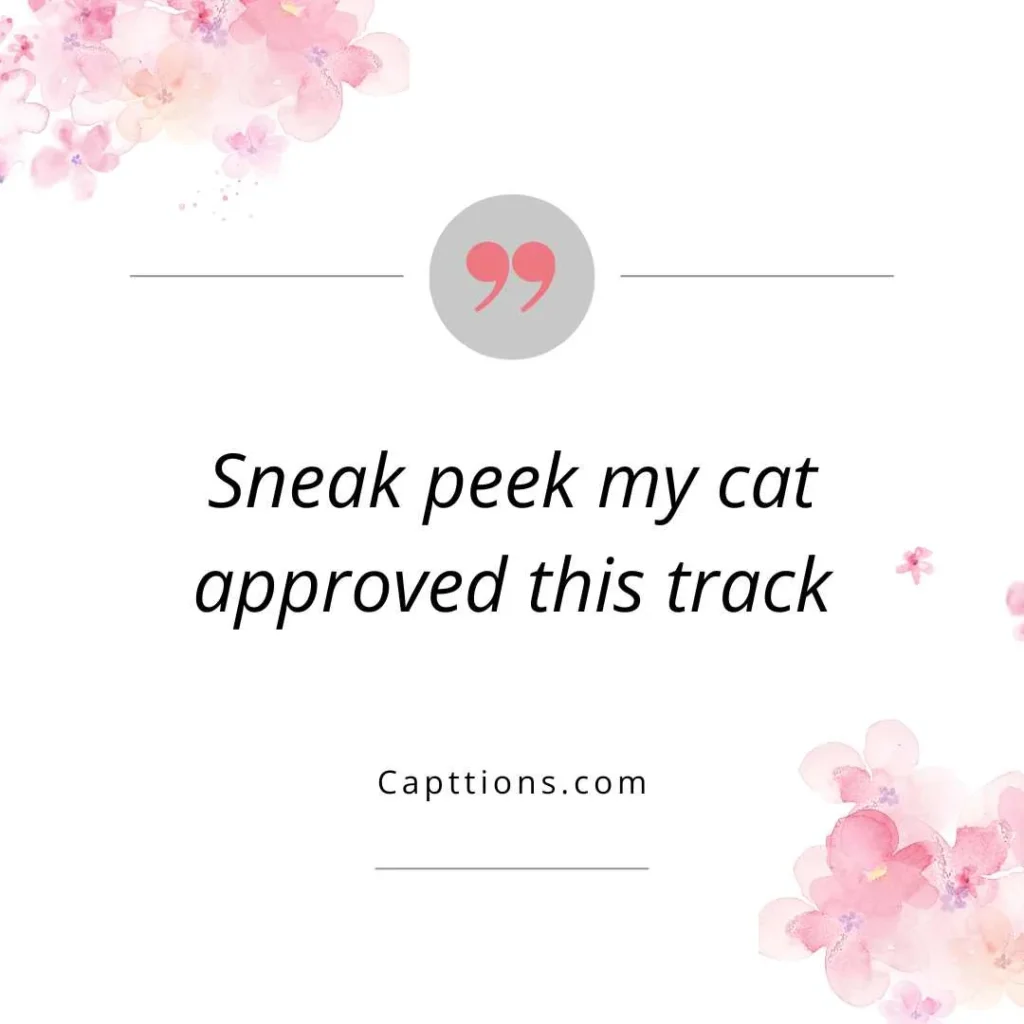 Funny Captions to Announce Your Upcoming Track