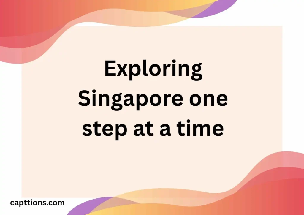 Short Captions for Singapore Trip