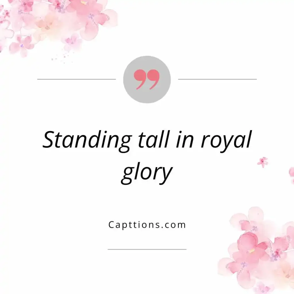 Captions for City Palace Grandeur