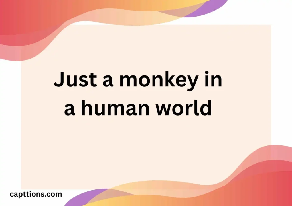 Cute and Crazy Monkey Captions in English
