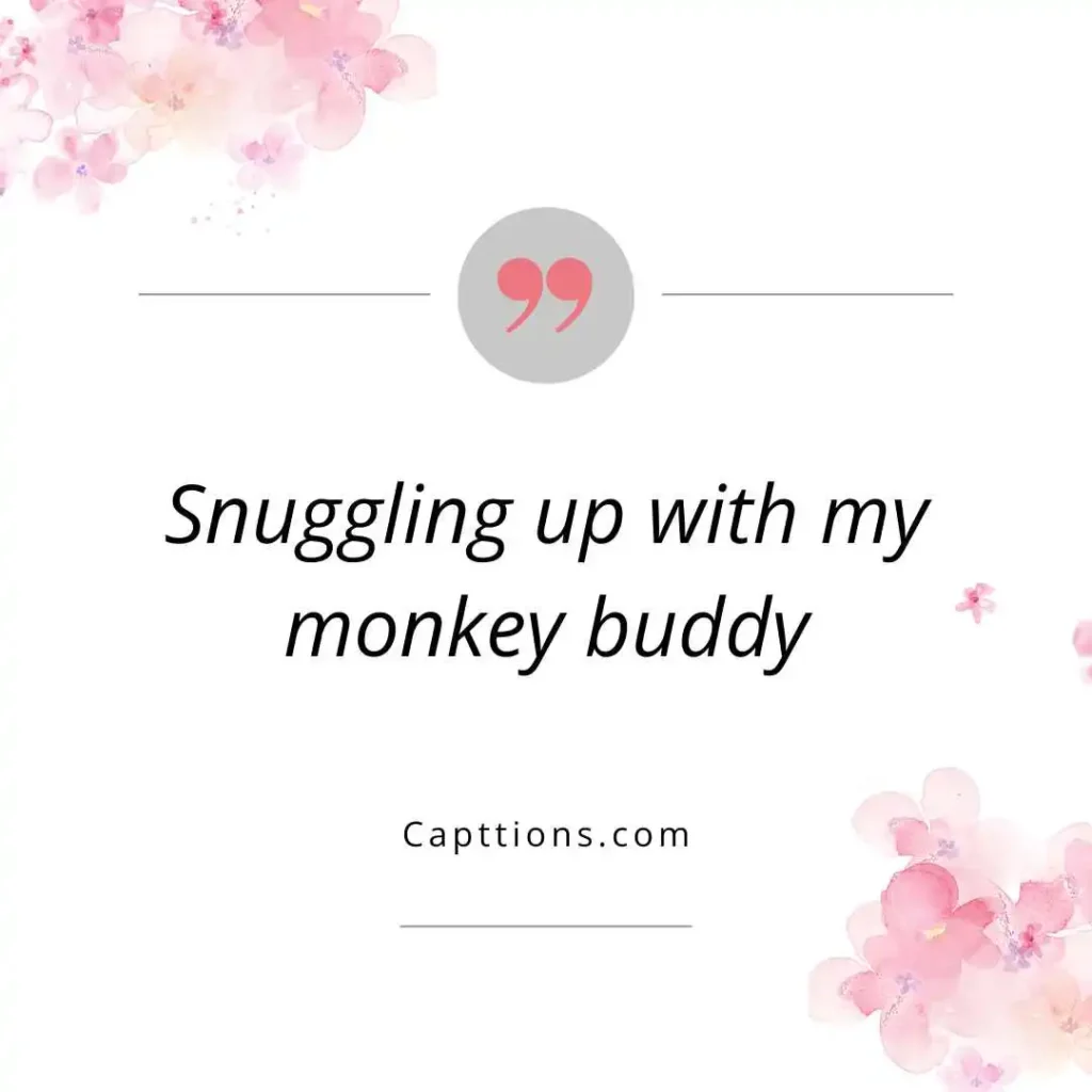 Cute Monkey Captions