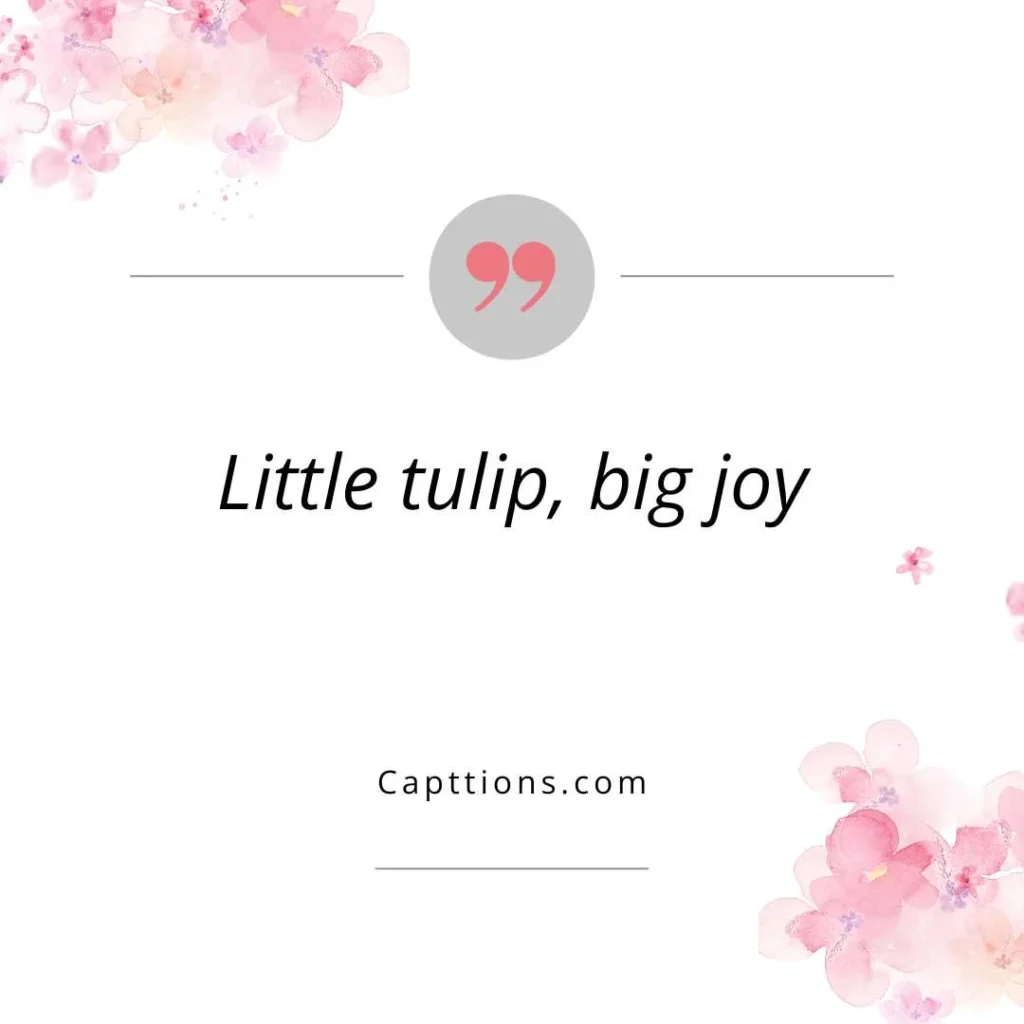 Cute Tulip Captions