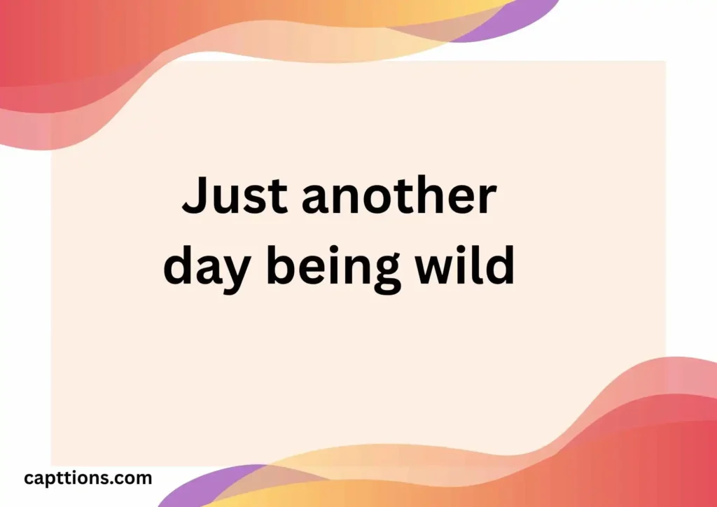 Funny Monkey Captions for Instagram