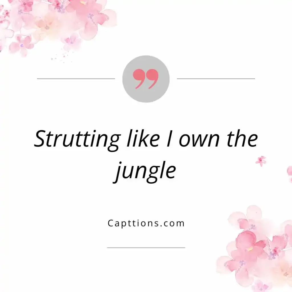 Funny Peacock Captions