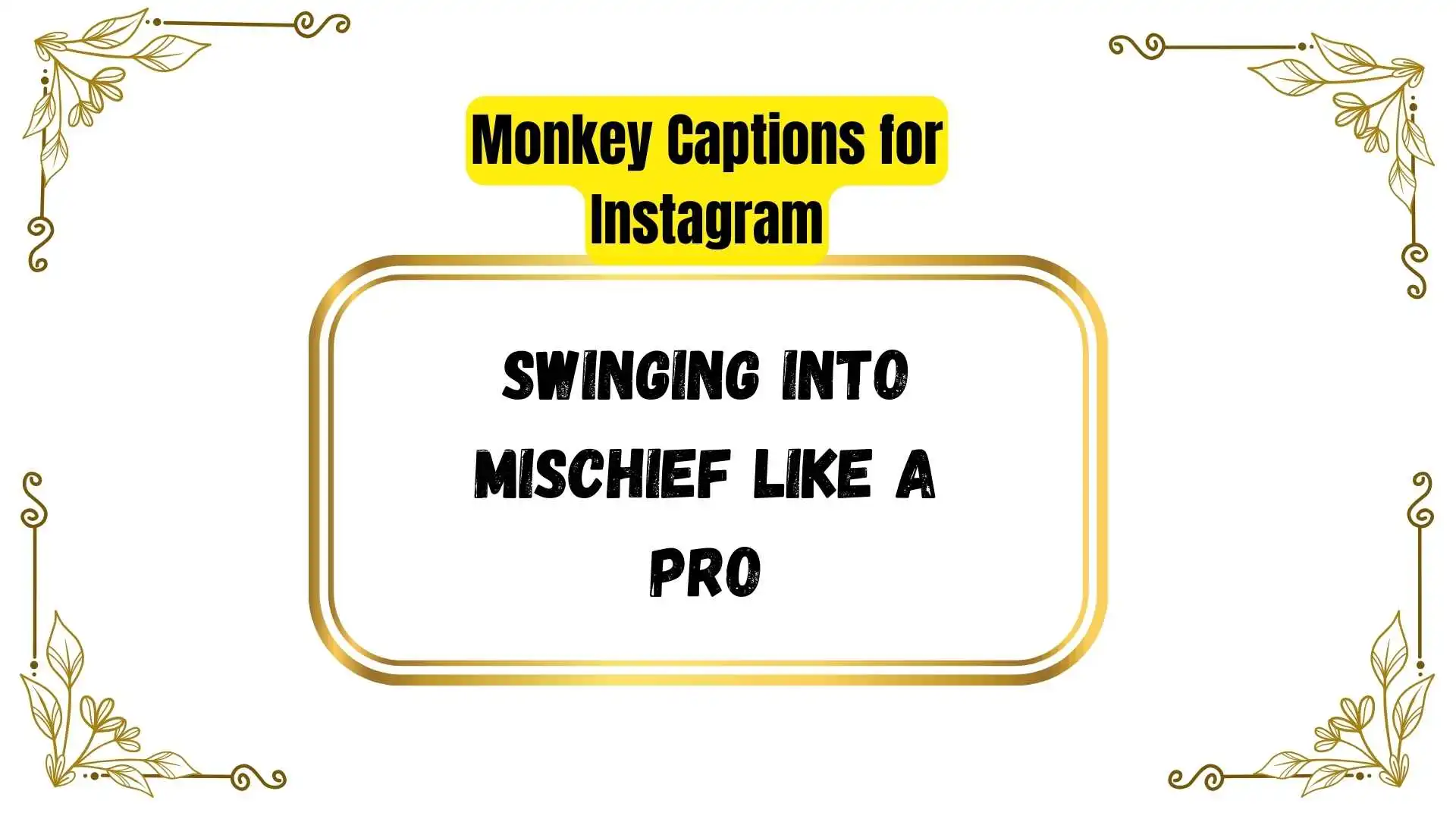 Monkey Captions for Instagram