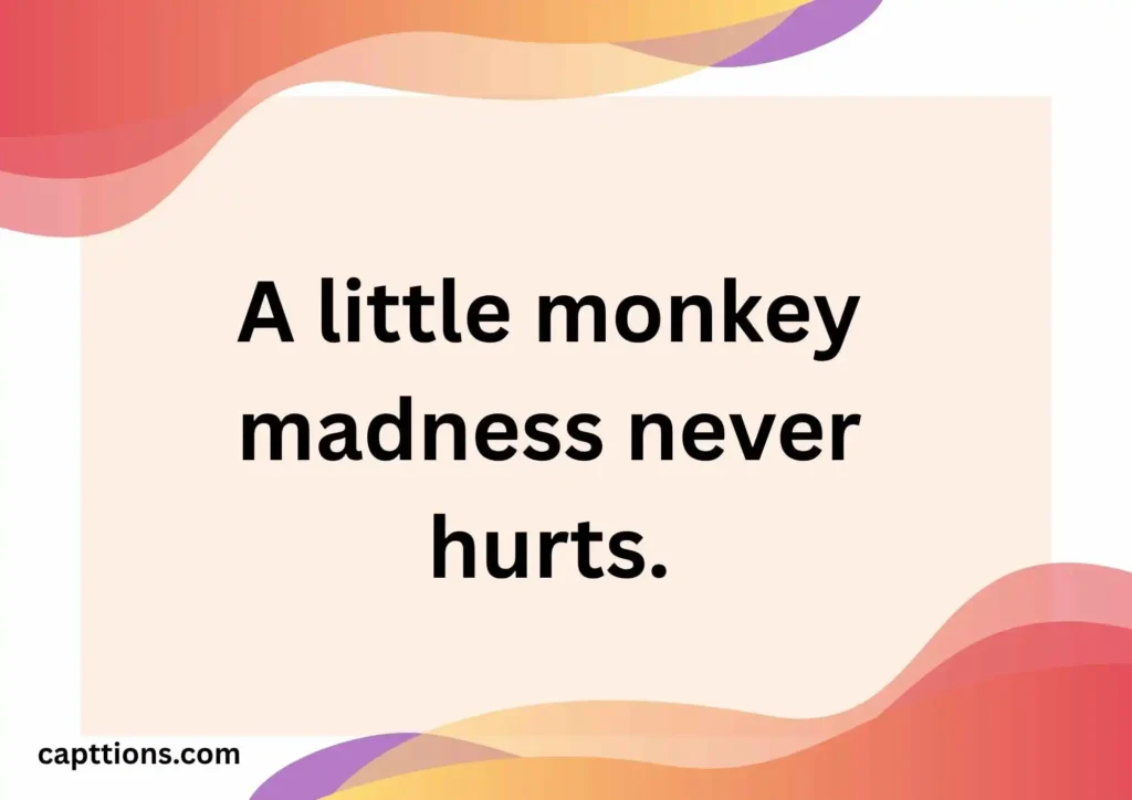 Monkey Quotes Funny