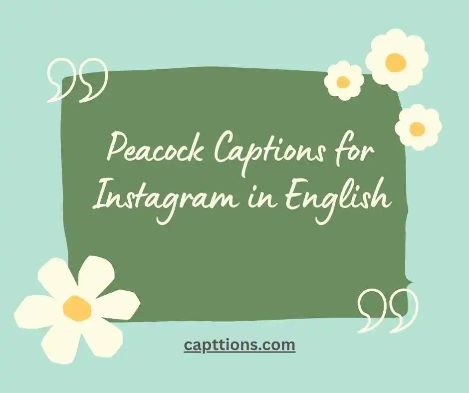 Peacock Captions for Instagram in English