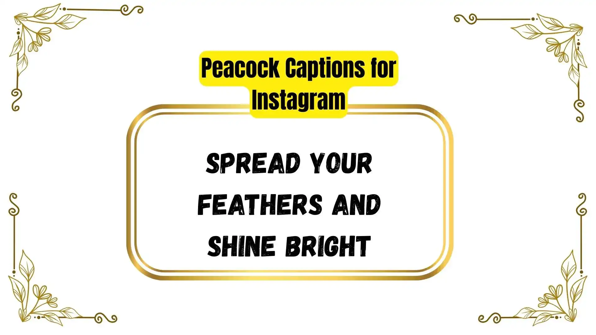 Peacock Captions for Instagram