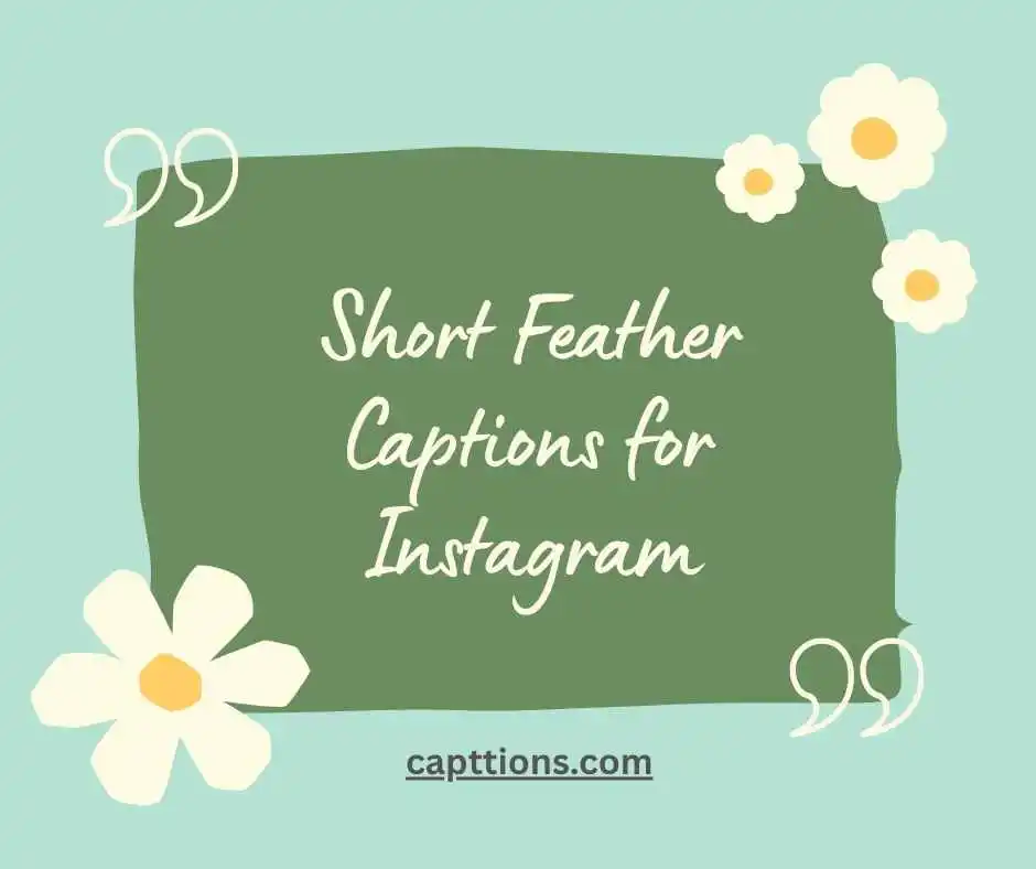 Short Feather Captions for Instagram