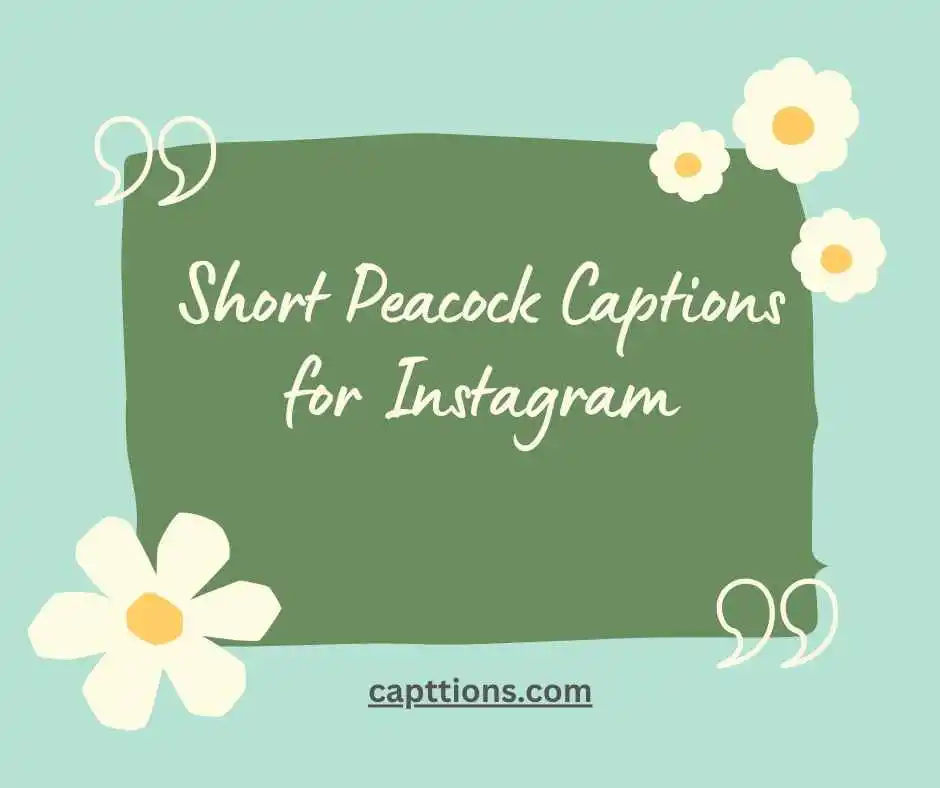 Short Peacock Captions for Instagram