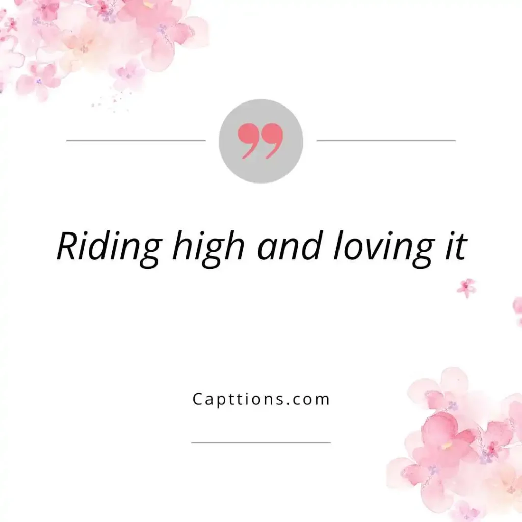 Thrilling Roller Coaster Ride Captions