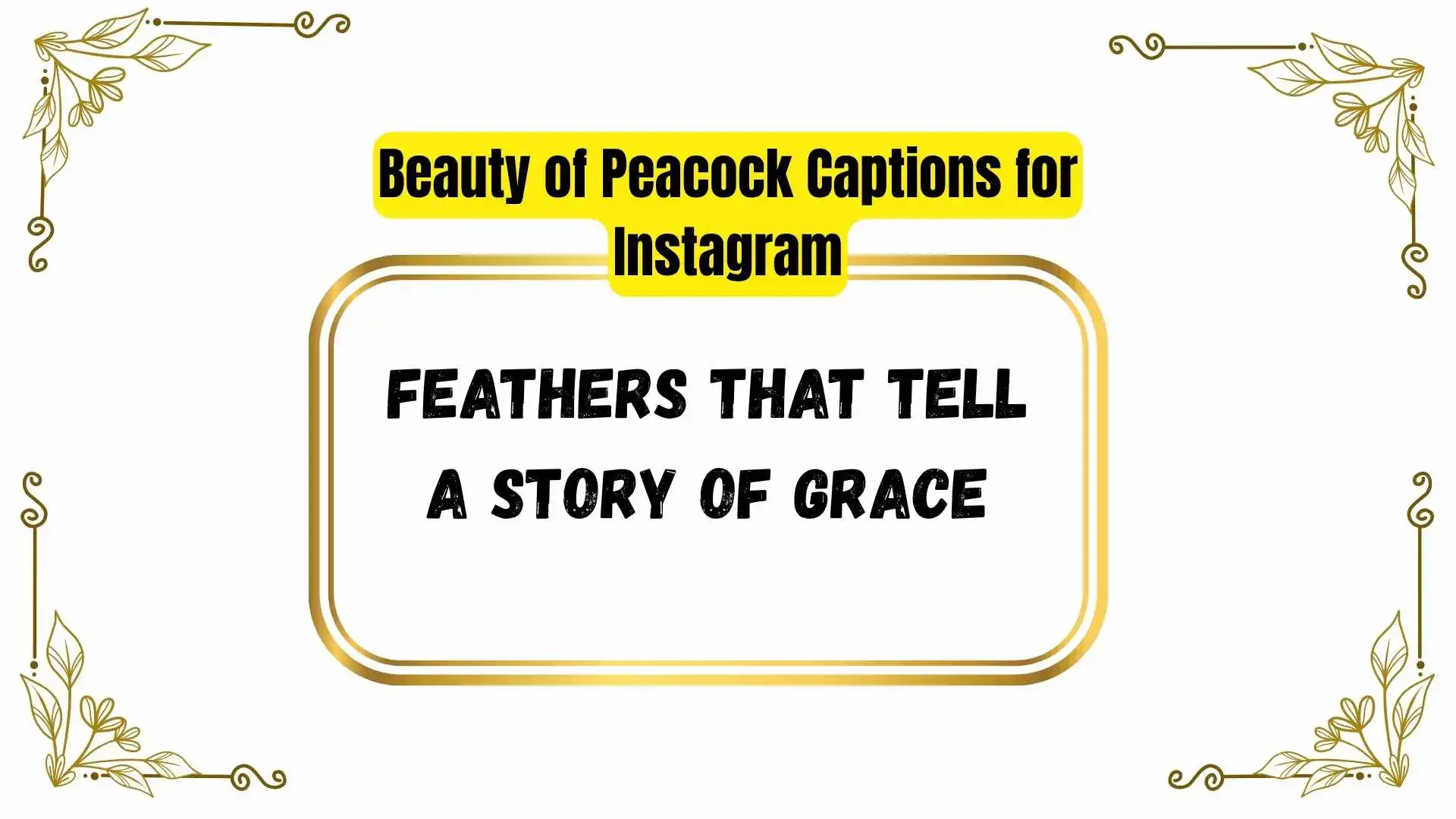 Beauty of Peacock Captions for Instagram
