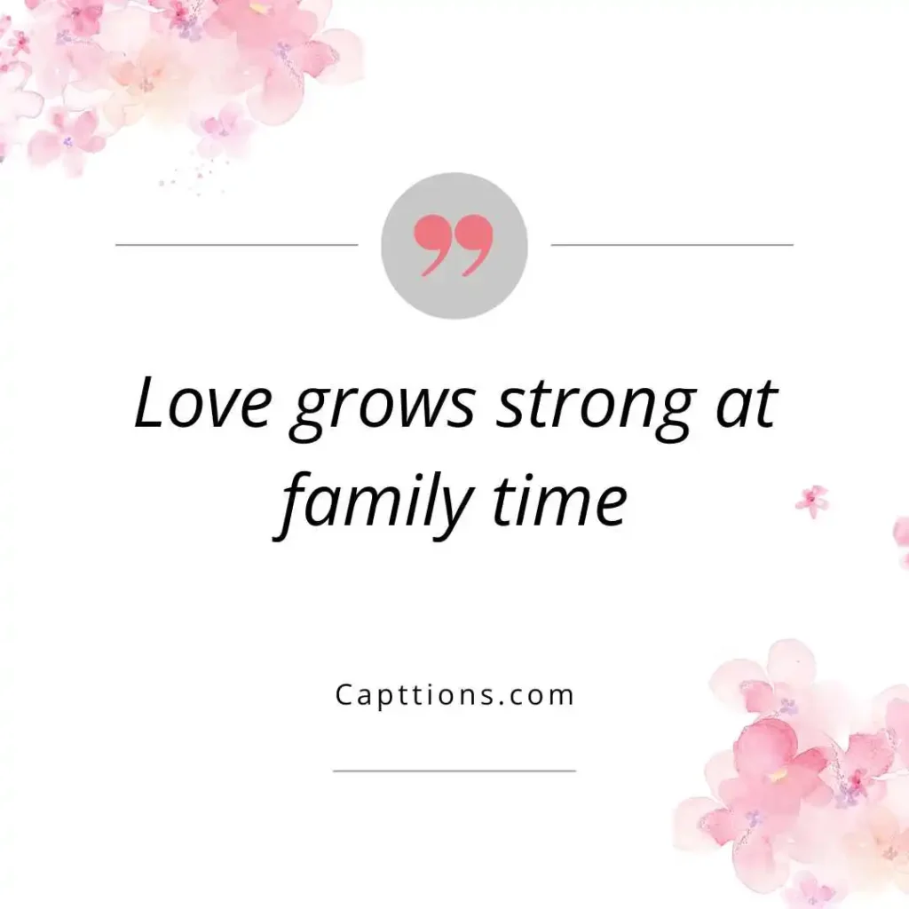 Family Get Together Captions