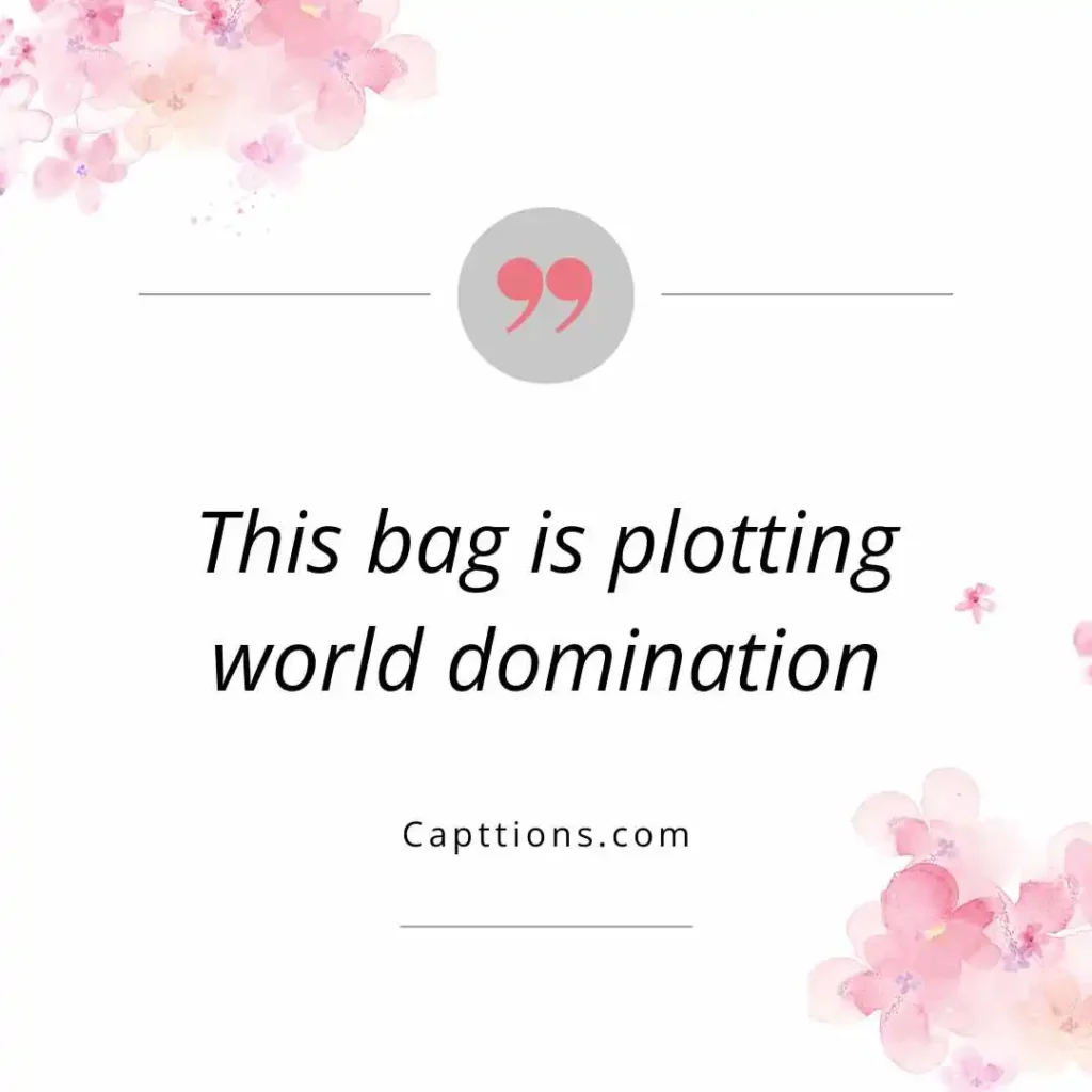 Funny Bag Captions