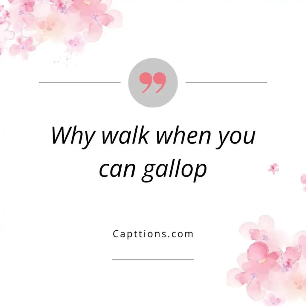 Funny Horse Riding Captions