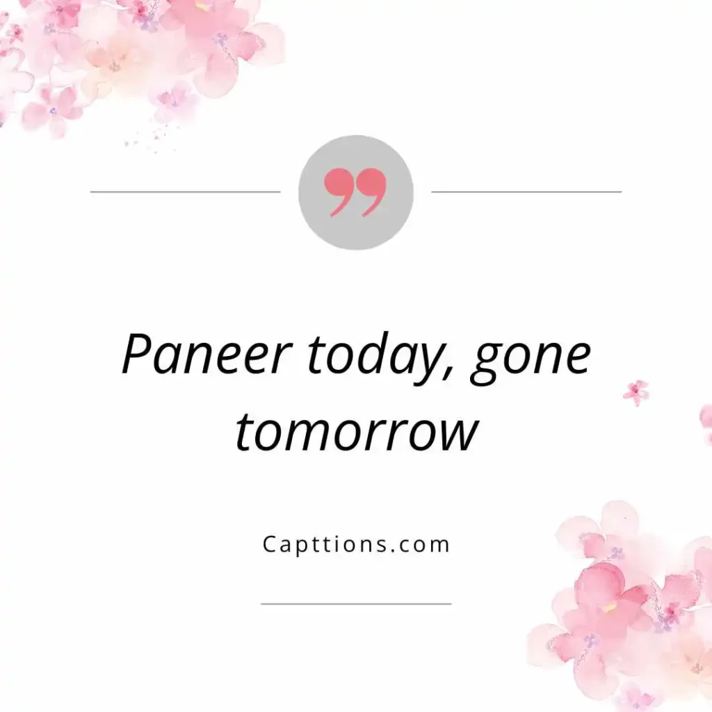 Funny Indian Food Captions