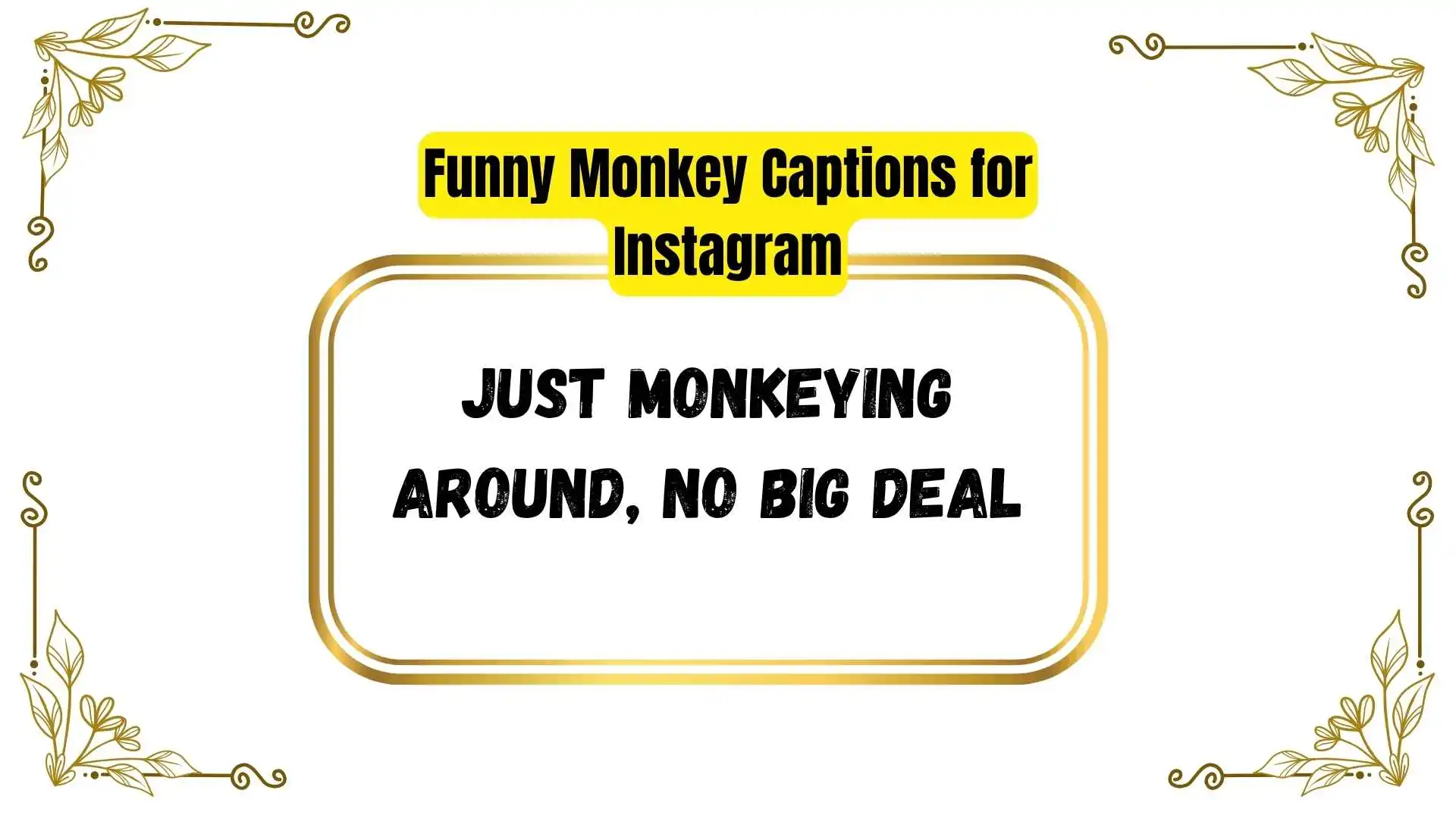 Funny Monkey Captions for Instagram
