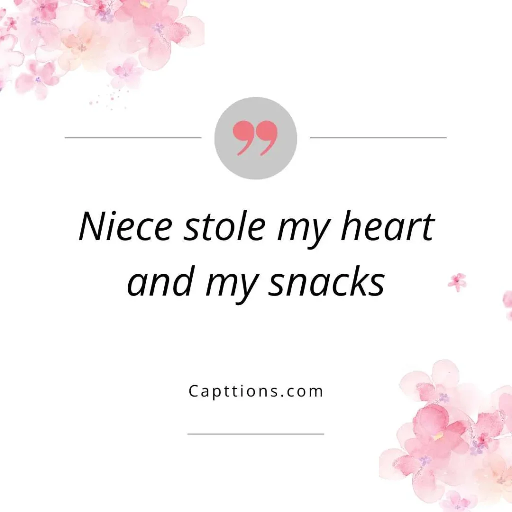 Funny Niece Captions