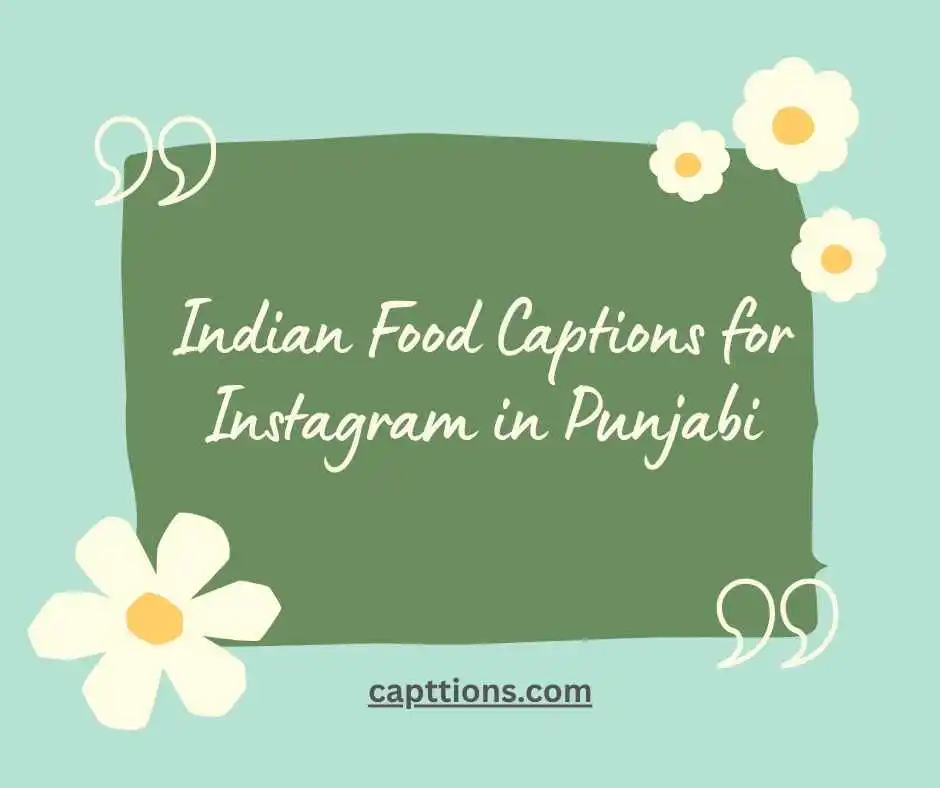 Indian Food Captions for Instagram in Punjabi