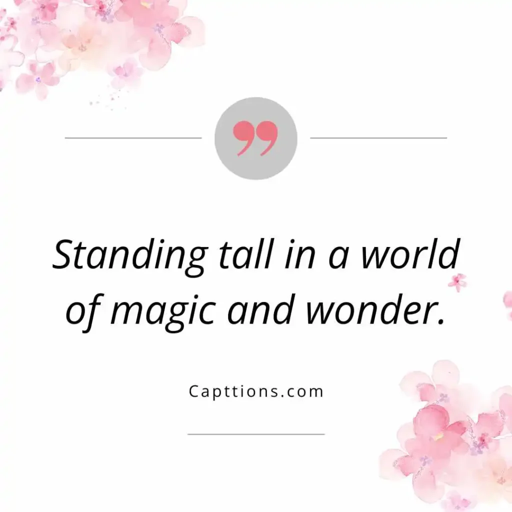 Magical Disney Castle Captions