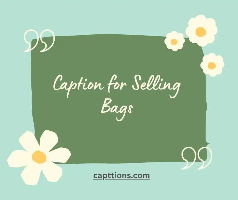 Short Bag Captions for Instagram