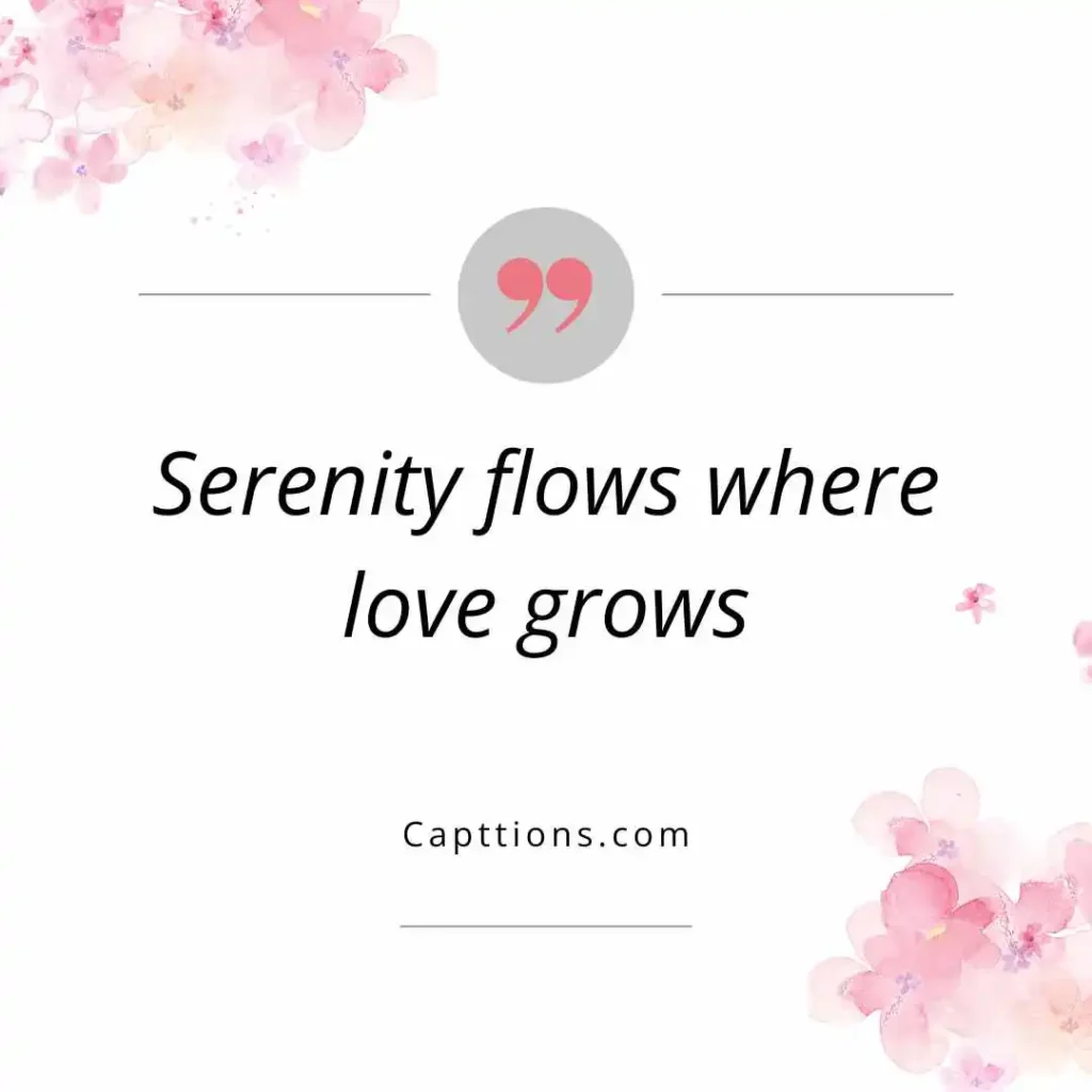 Captions for Inner Peace