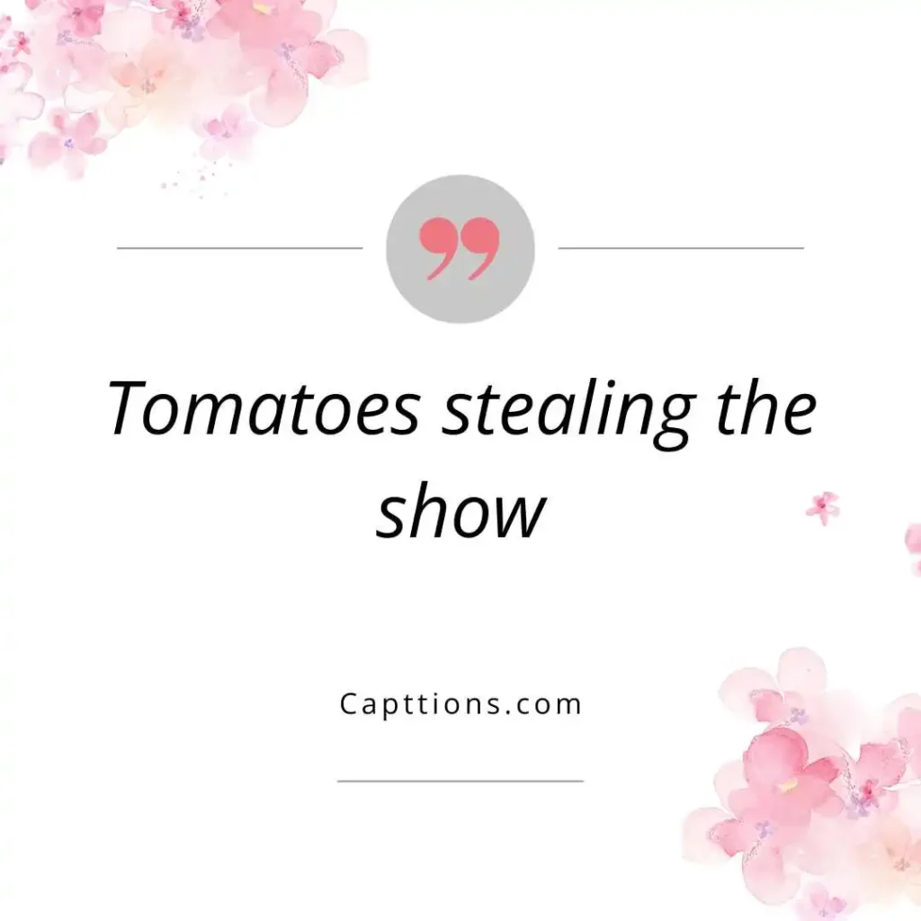 Colorful Veggie Captions