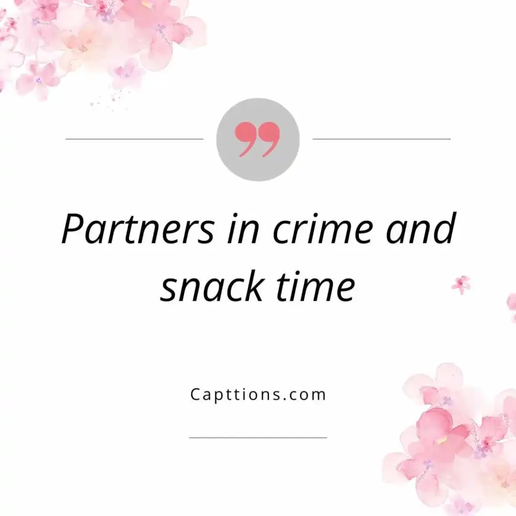 Funny Captions for Friends