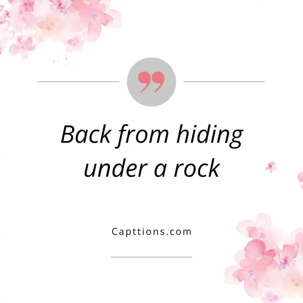 Funny Comeback Captions