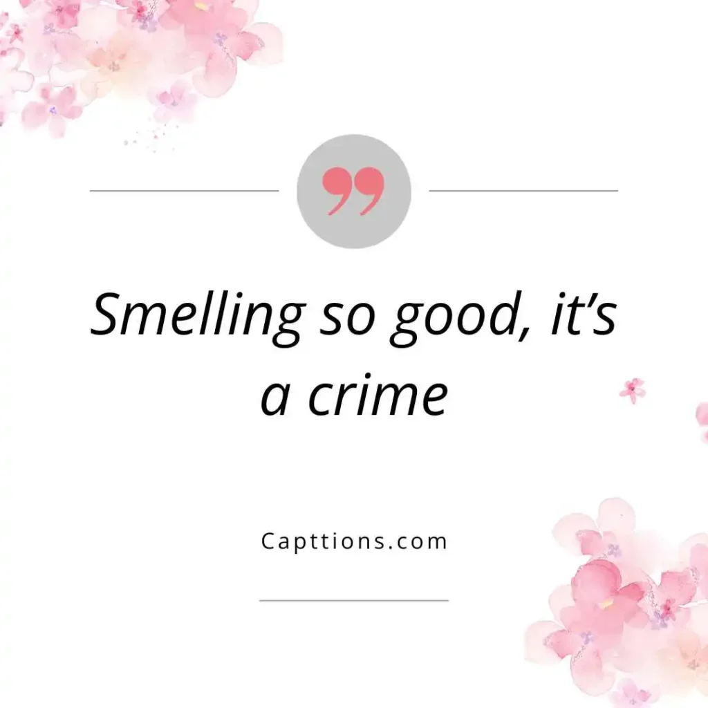Funny Perfume Captions