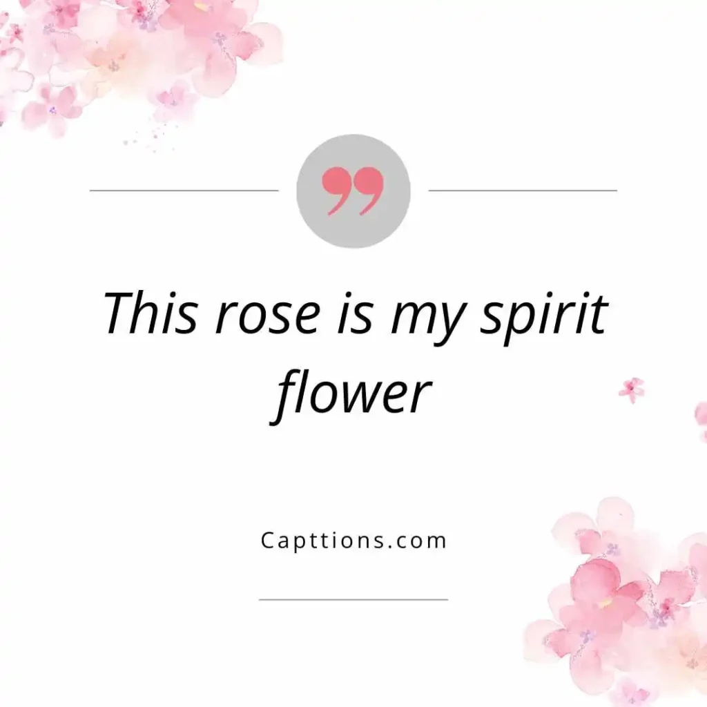 Funny Rose Captions