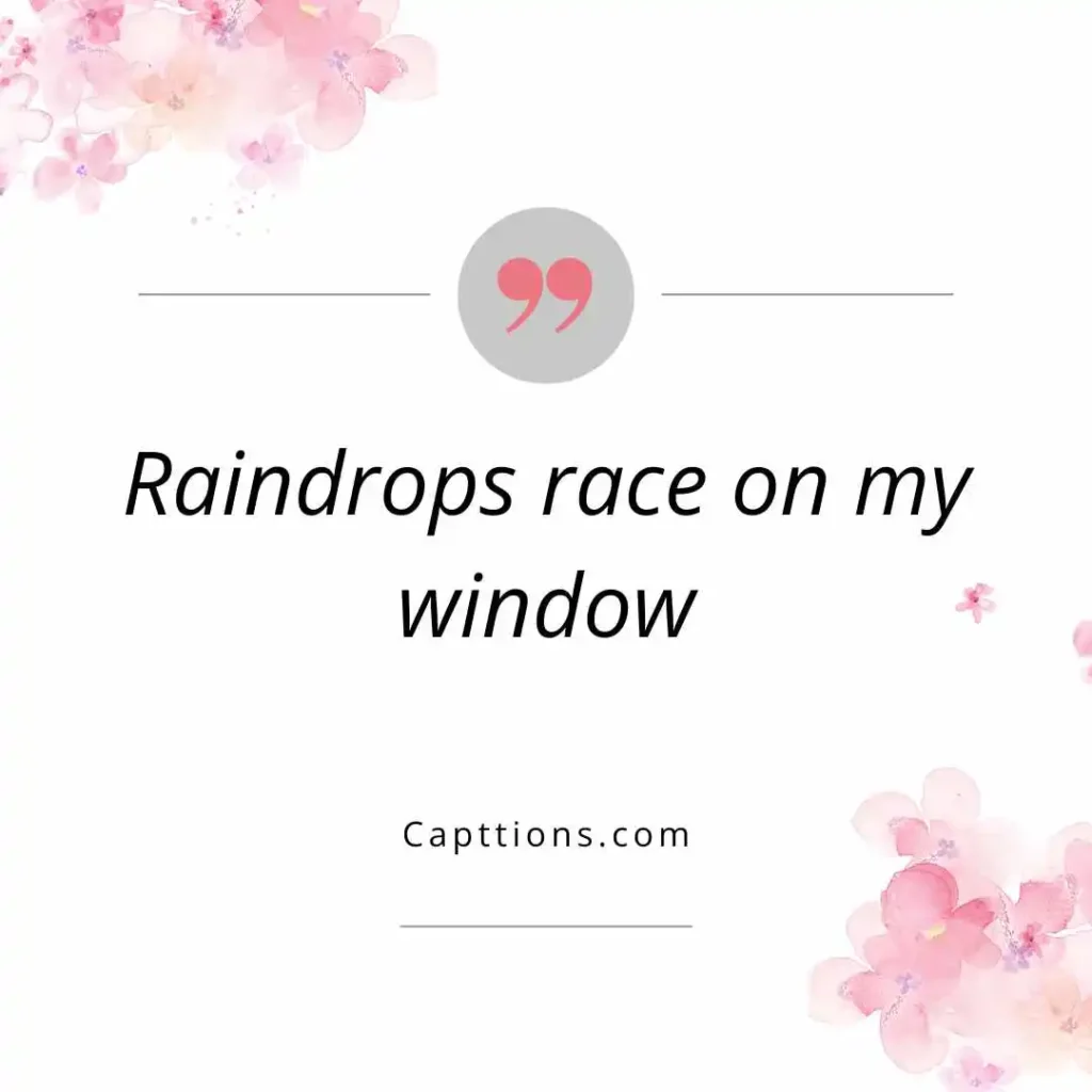 Rainy Window Moments