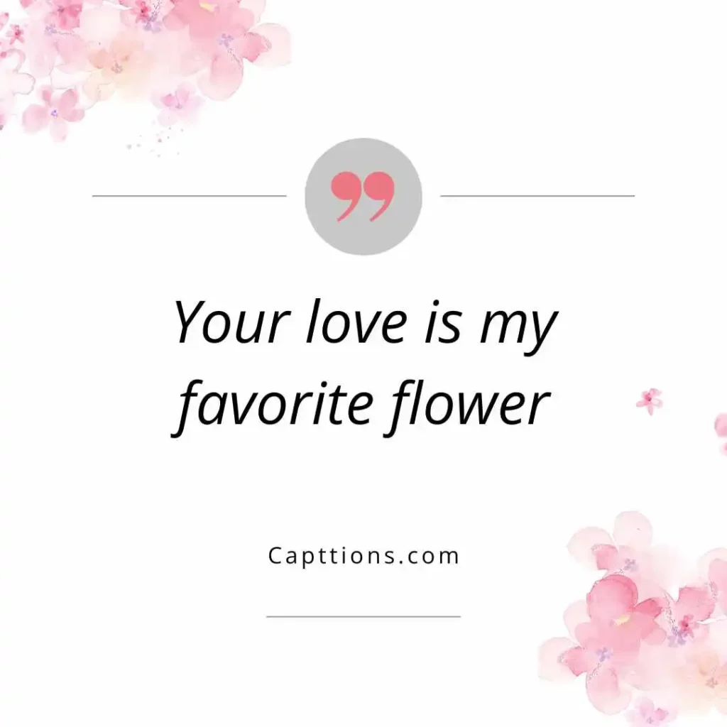 Romantic Rose Captions