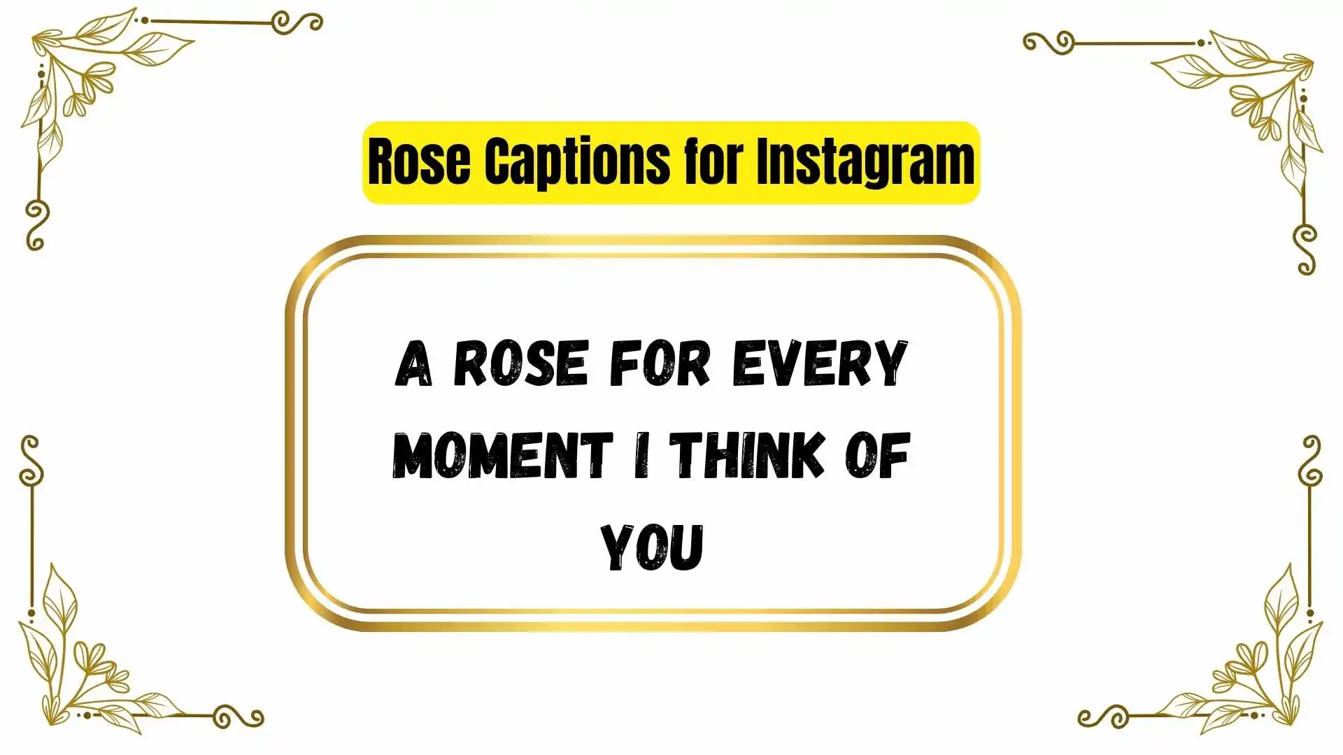 Rose Captions for Instagram