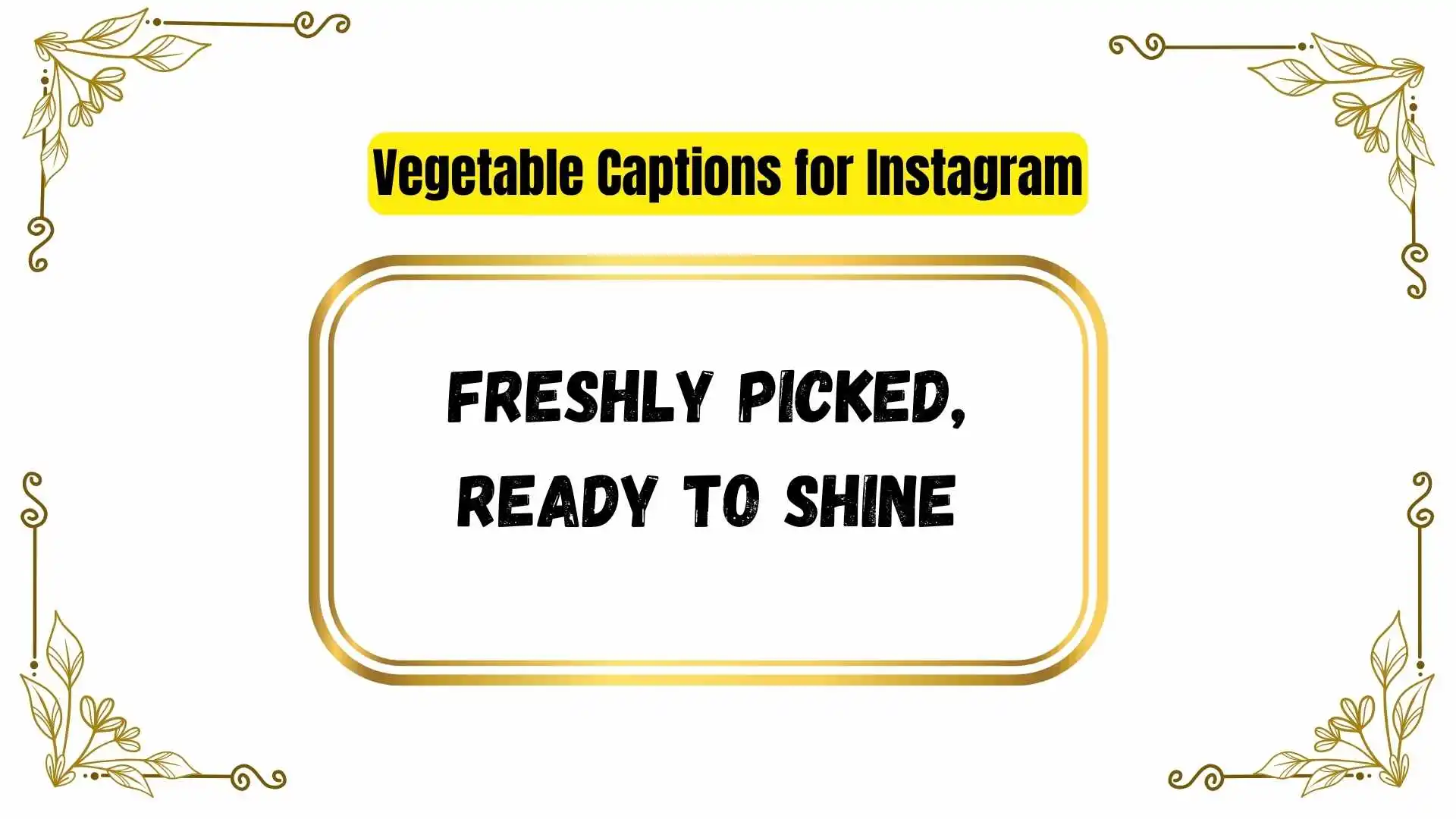 Vegetable Captions for Instagram